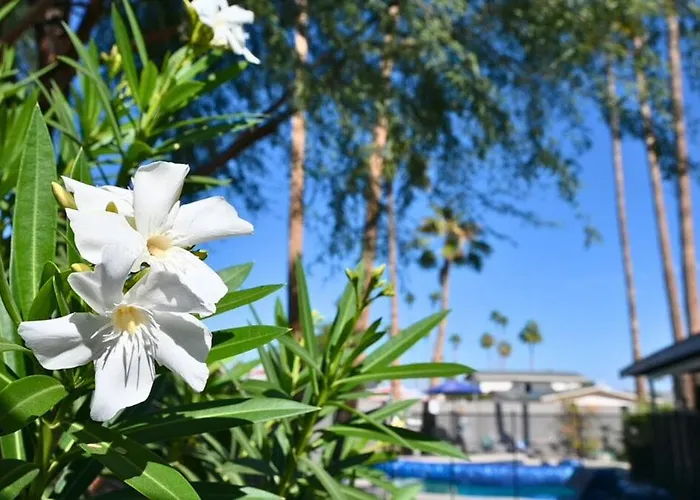 Private Oasis, Free Heated Pool, Close To Asu